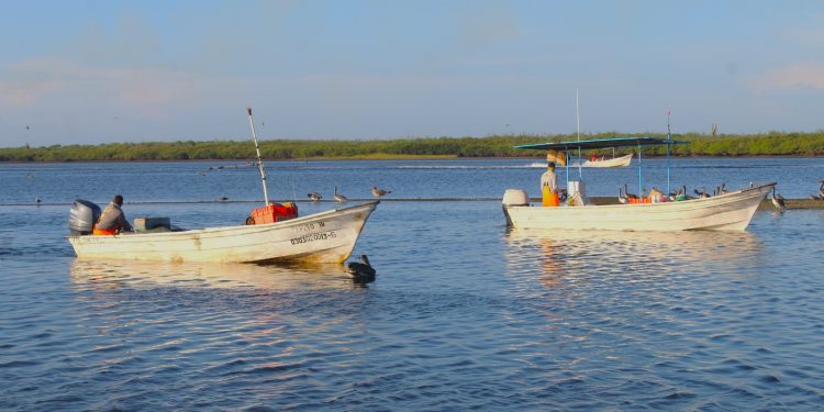 ANUNCIAN FORO ESTATAL DE PROTECCIÓN CIVIL PARA MAYO EN LOS CABOS