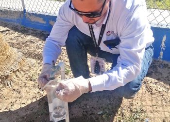 ESTUDIANTES DE LA UABCS OBTIENEN MEDALLA DE BRONCE EN INFOMATRIX NACIONAL