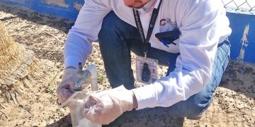 ESTUDIANTES DE LA UABCS OBTIENEN MEDALLA DE BRONCE EN INFOMATRIX NACIONAL
