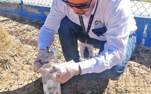 ESTUDIANTES DE LA UABCS OBTIENEN MEDALLA DE BRONCE EN INFOMATRIX NACIONAL