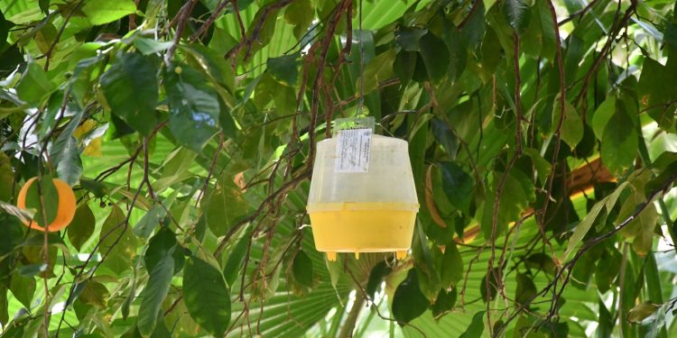 RECONOCE SEPADA LA IMPORTANCIA DE LA SANIDAD VEGETAL EN EL ESTADO