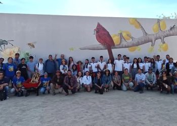 INVITA EL SERVICIO NACIONAL DE EMPLEO A PARTICIPAR EN EL CURSO DE CAPACITACIÓN DE CAMARISTAS