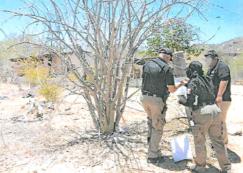 REALIZA FGR CATEO EN UN INMUEBLE EN “EL SAUCITO”, SAN JOSÉ DEL CABO, BAJA CALIFORNIA SUR