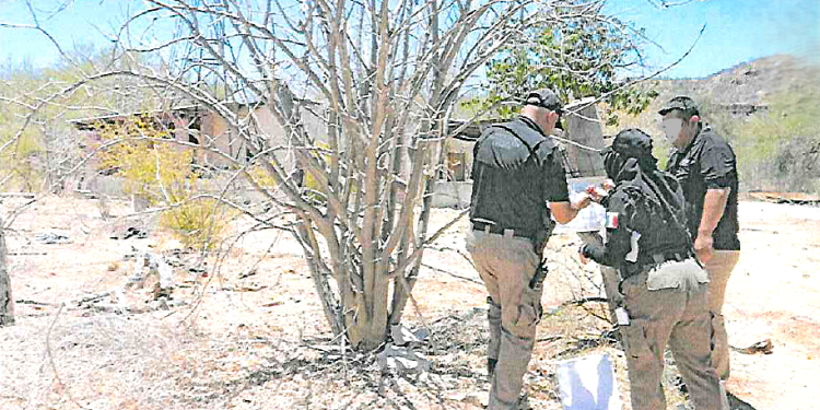 REALIZA FGR CATEO EN UN INMUEBLE EN “EL SAUCITO”, SAN JOSÉ DEL CABO, BAJA CALIFORNIA SUR