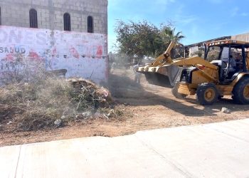 CONTINÚAN OPERATIVOS DE INSPECCIÓN DE UNIDADES TRANSPORTADORAS DE SERVICIO FEDERAL EN LOS CABOS