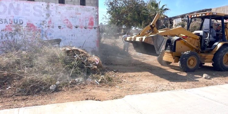 CONTINÚAN OPERATIVOS DE INSPECCIÓN DE UNIDADES TRANSPORTADORAS DE SERVICIO FEDERAL EN LOS CABOS