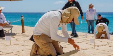 INICIA REVISIÓN DE PLAYAS EN LOS CABOS ; BUSCAN CONSERVAR DISTINTIVO BLUE FLAG