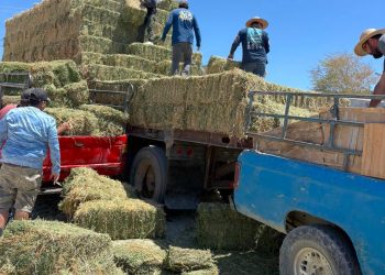 CELEBRA AYUNTAMIENTO DE LOS CABOS A MAESTRAS Y MAESTROS EN SU DIA