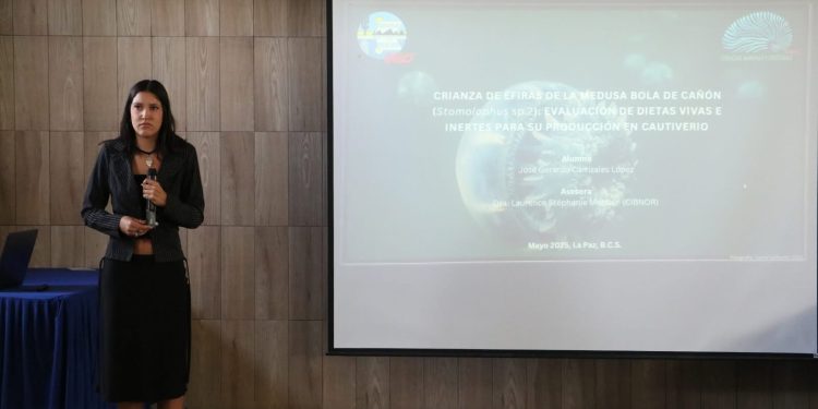 IMPULSA GOBIERNO DE BCS POLÍTICAS PÚBLICAS  CON ENFOQUE EN LA NIÑEZ Y ADOLESCENCIA