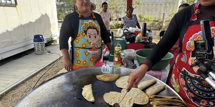 PRESENTA IMAIA AVANCES Y PRODUCTOS DE HUERTO COMUNITARIO EN CABO SAN LUCAS