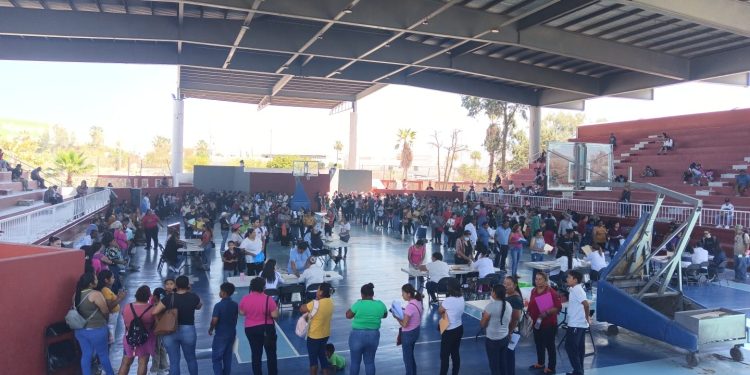 CON ENTREGA DE BECAS CONMEMORAN DÍA DEL ESTUDIANTE EN CABO SAN LUCAS