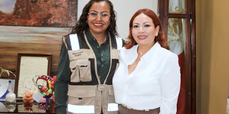 SESIONA LA JUNTA DE GOBIERNO DEL INDEM LOS CABOS