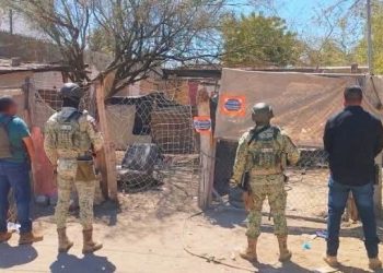 ASEGURAN PGJE – SEDENA A TRES PERSONAS Y NARCÓTICOS DURANTE CATEO EN LA COLONIA MANGLITO EN LA PAZ