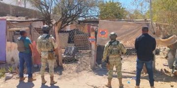 ASEGURAN PGJE – SEDENA A TRES PERSONAS Y NARCÓTICOS DURANTE CATEO EN LA COLONIA MANGLITO EN LA PAZ