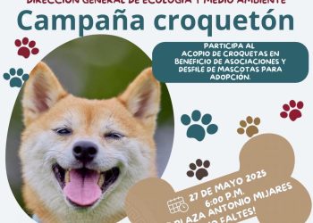 GOBIERNO MUNICIPAL ANUNCIA APERTURA DE 4 RUTAS ALTERNAS PARA MEJORAR LA CIRCULACIÓN DURANTE OBRAS EN LA CIUDAD