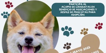 GOBIERNO MUNICIPAL ANUNCIA APERTURA DE 4 RUTAS ALTERNAS PARA MEJORAR LA CIRCULACIÓN DURANTE OBRAS EN LA CIUDAD