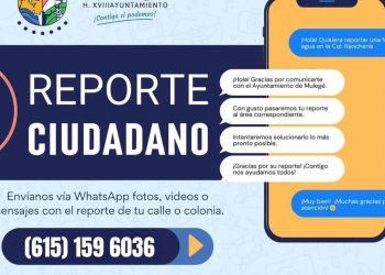 AVANZA MULEGÉ EN ATENCIÓN CIUDADANA: MÁS DE 100 REPORTES ATENDIDOS EN TODO EL MUNICIPIO