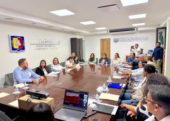 PARTICIPA INSTITUTO DE LAS MUJERES DE LOS CABOS EN PRIMERA SESIÓN EXTRAORDINARIA DEL GEPEA