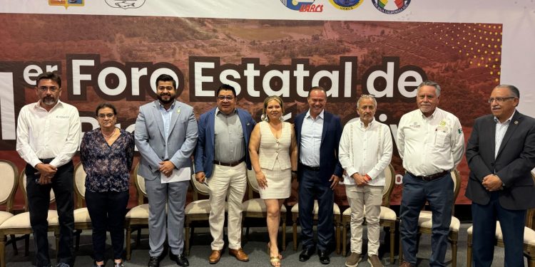 BAJA CALIFORNIA SUR TENDRÁ MAYOR CONECTIVIDAD CON NUEVAS RUTAS NACIONALES E INTERNACIONALES: SETUE