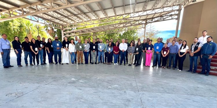 LLAMA IMSS BCS A PATRONES A ACTIVAR BUZÓN IMSS