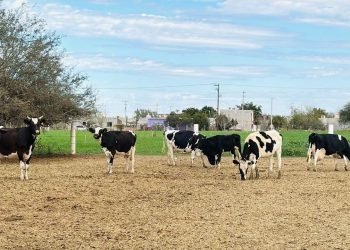 FORTALECEN LA PRESENCIA DE LA GUARDIA NACIONAL EN BAJA CALIFORNIA SUR