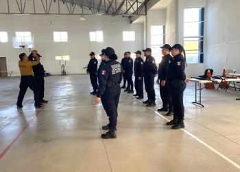 EL SISTEMA CREACIÓN Y EL INSTITUTO SUDCALIFORNIANO DE CULTURA PUBLICAN LA CONVOCATORIA  PECDA 2025 BAJA CALIFORNIA SUR