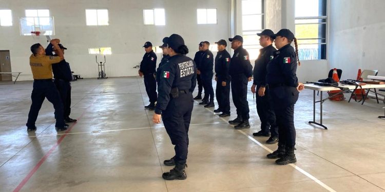 EL SISTEMA CREACIÓN Y EL INSTITUTO SUDCALIFORNIANO DE CULTURA PUBLICAN LA CONVOCATORIA  PECDA 2025 BAJA CALIFORNIA SUR
