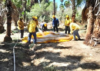 INSUDE CONVOCA A JORNADA DE LIMPIEZA EN INSTALACIONES DEPORTIVAS