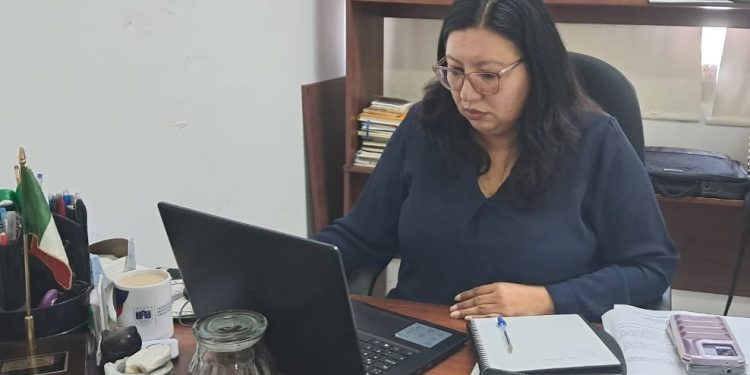 BRINDARÁ PREPARATORIA CEB 9/35 CLASES  VESPERTINAS EN EL EDIFICIO DE LS SECUNDARIA DE LA BALLENA EN SAN JOSÉ DEL CABO
