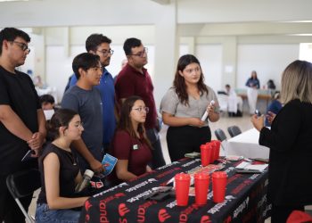 EL SISTEMA CREACIÓN Y EL INSTITUTO SUDCALIFORNIANO DE CULTURA PUBLICAN LA CONVOCATORIA  PECDA 2025 BAJA CALIFORNIA SUR
