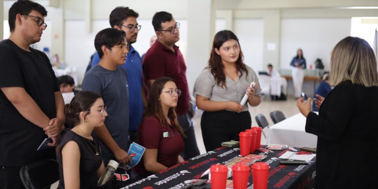 EL SISTEMA CREACIÓN Y EL INSTITUTO SUDCALIFORNIANO DE CULTURA PUBLICAN LA CONVOCATORIA  PECDA 2025 BAJA CALIFORNIA SUR