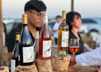 REALIZAN CON ÉXITO LA TERCERA EDICIÓN  DE LA VENDIMIA 2025 EN COMONDÚ