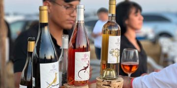REALIZAN CON ÉXITO LA TERCERA EDICIÓN  DE LA VENDIMIA 2025 EN COMONDÚ