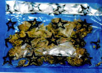 REALIZA FGR CATEO EN UN INMUEBLE EN LA PAZ, BAJA CALIFORNIA SUR