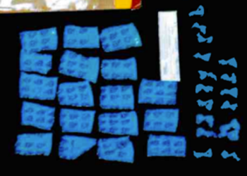 POR DELITO CONTRA LA SALUD Y PORTACIÓN DE ARMA, FGR OBTIENE SENTENCIA CONDENATORIA CONTRA UNA PERSONA EN BCS