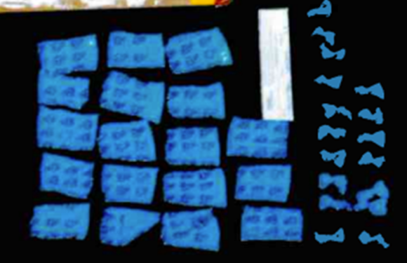 POR DELITO CONTRA LA SALUD Y PORTACIÓN DE ARMA, FGR OBTIENE SENTENCIA CONDENATORIA CONTRA UNA PERSONA EN BCS