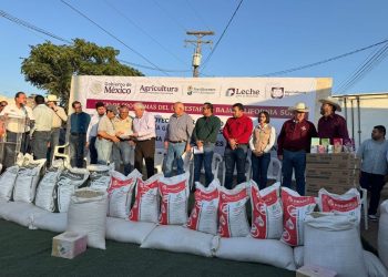 IMPULSA AGRICULTURA 600 HECTÁREAS DE CULTIVOS PRIORITARIOS DE BCS CON FERTILIZANTES GRATUITOS   