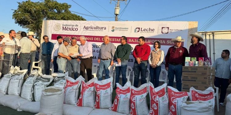 IMPULSA AGRICULTURA 600 HECTÁREAS DE CULTIVOS PRIORITARIOS DE BCS CON FERTILIZANTES GRATUITOS