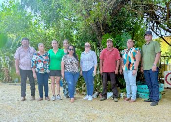 CONFORMAN COMITÉ DE PARTICIPACIÓN CIUDADANA DE LAS CASITAS EN LA DELEGACIÓN DE MIRAFLORES