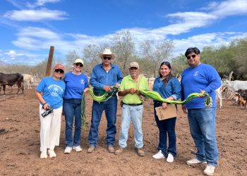 AUTORIDADES DE LOS CABOS Y TRANSPORTISTAS ACUERDAN LINEAMIENTOS DURANTE OBRAS EN LA GLORIETA DE FONATUR