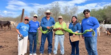 AUTORIDADES DE LOS CABOS Y TRANSPORTISTAS ACUERDAN LINEAMIENTOS DURANTE OBRAS EN LA GLORIETA DE FONATUR