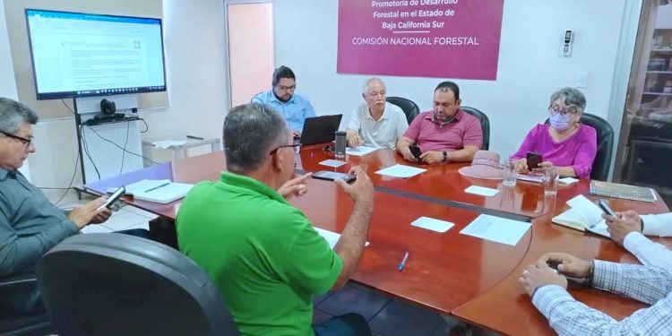 PARTICIPARÁ DIRECCIÓN DE ECOLOGÍA EN 5° SESIÓN ORDINARIA DEL COMITÉ TÉCNICO DEL CAMBIO DE USO DE SUELO