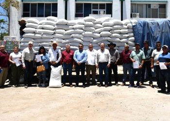 APREHENDE PGJE A IMPUTADO POR ROBO A ESTABLECIMIENTO COMERCIAL