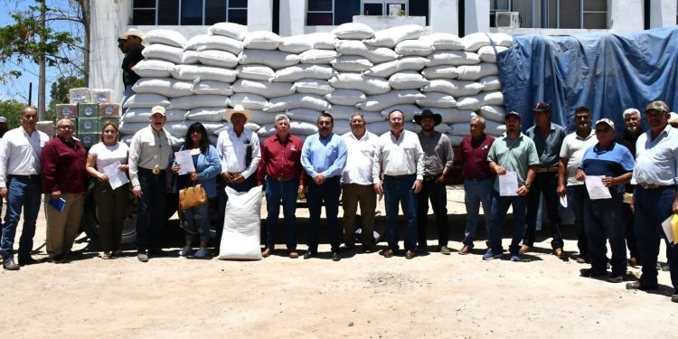 APREHENDE PGJE A IMPUTADO POR ROBO A ESTABLECIMIENTO COMERCIAL