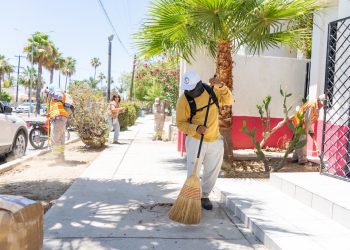 REALIZAN MANTENIMIENTO PERMANENTE DE ÁREAS VERDES DE SAN JOSÉ DEL CABO