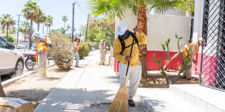 REALIZAN MANTENIMIENTO PERMANENTE DE ÁREAS VERDES DE SAN JOSÉ DEL CABO