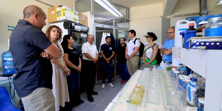 UABCS Y UNIVERSIDAD CATÓLICA DEL NORTE DE CHILE EXPLORAN COLABORACIÓN CIENTÍFICA EN MATERIA ACUÍCOLA