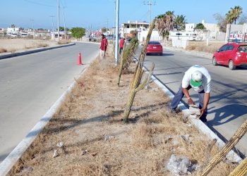 TRANSFORMANDO COMUNIDADES MÁS FUERTES: SE CONFORMA EL COMITÉ CIUDADANO EN LA COLONIA COUNTRY DEL MAR