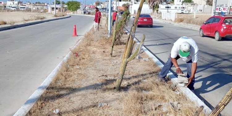 TRANSFORMANDO COMUNIDADES MÁS FUERTES: SE CONFORMA EL COMITÉ CIUDADANO EN LA COLONIA COUNTRY DEL MAR