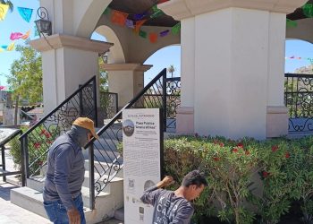 AVANZA PROYECTO PARA OFRECER ATENCIÓN INTEGRAL A MUJERES EN SITUACIÓN DE VULNERABILIDAD EN CABO SAN LUCAS